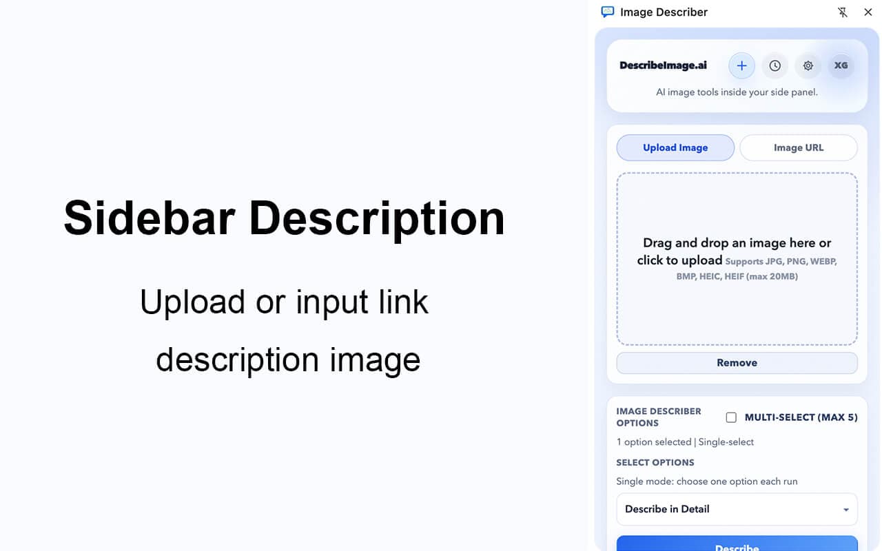 Image Describer extension interface 1