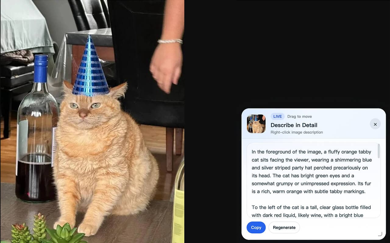 Image Describer extension interface 2