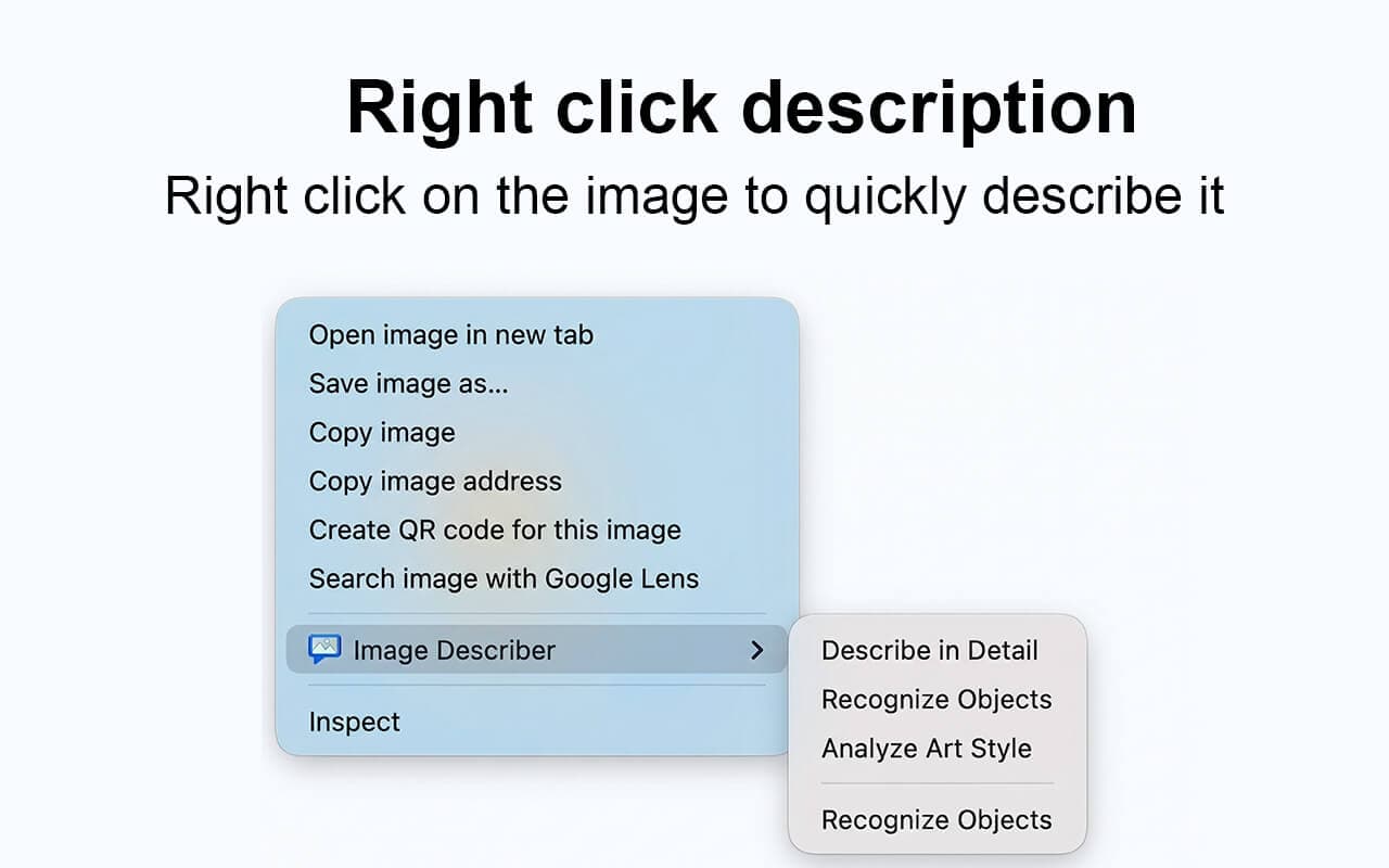 Image Describer extension interface 3